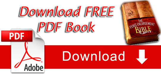 pe bible download